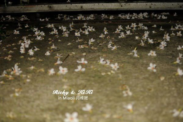 20250207-nb32g