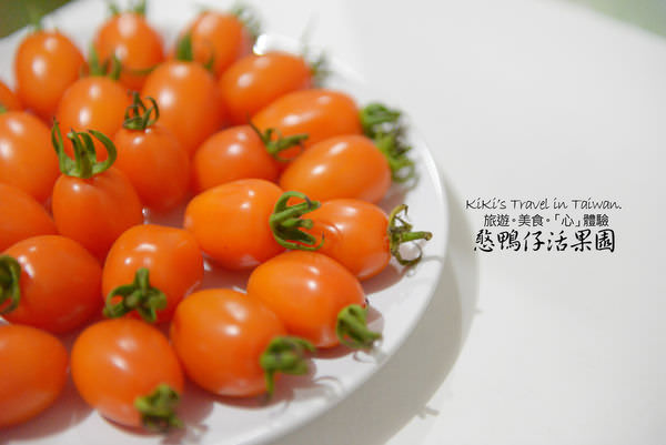 20250207-4pf1j