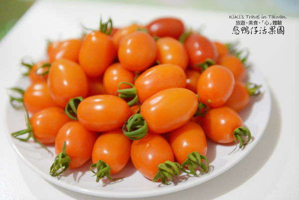 20250207-5j5wr