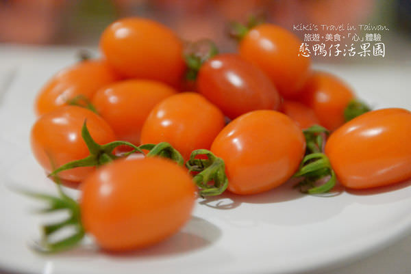 20250207-ckkqf