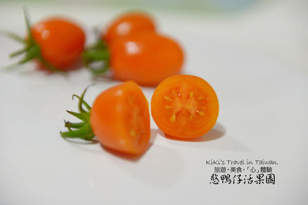 20250207-h03yj