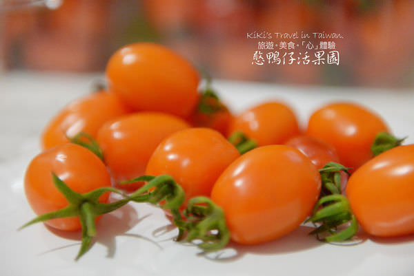 20250207-rd9c5