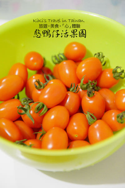 20250207-rku7l