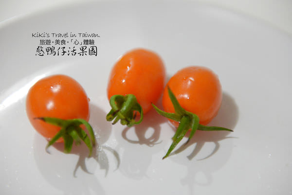20250207-t60rs
