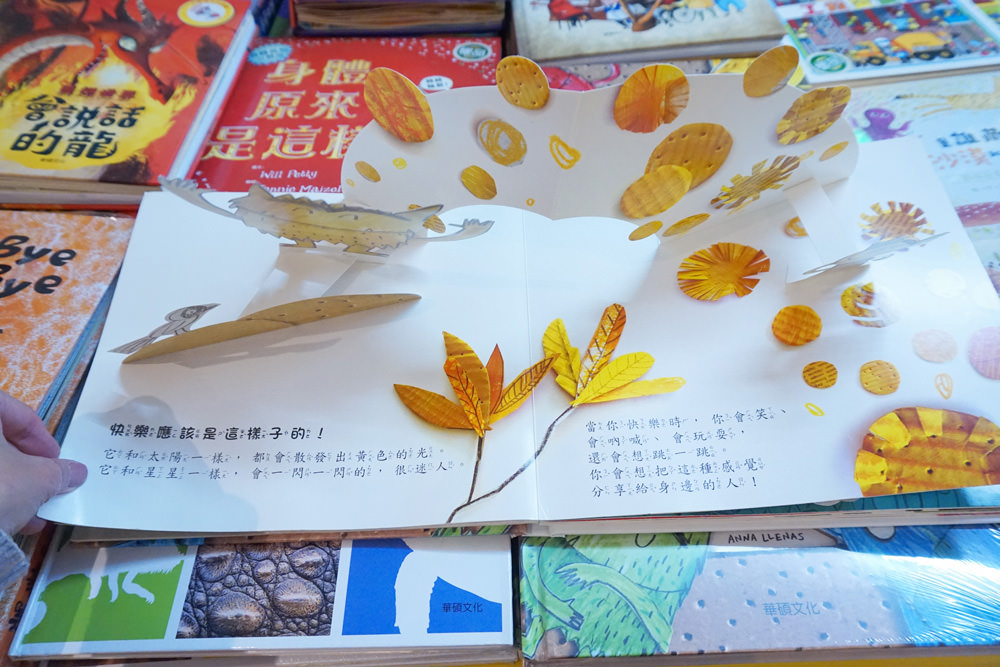 20250207-ha15i