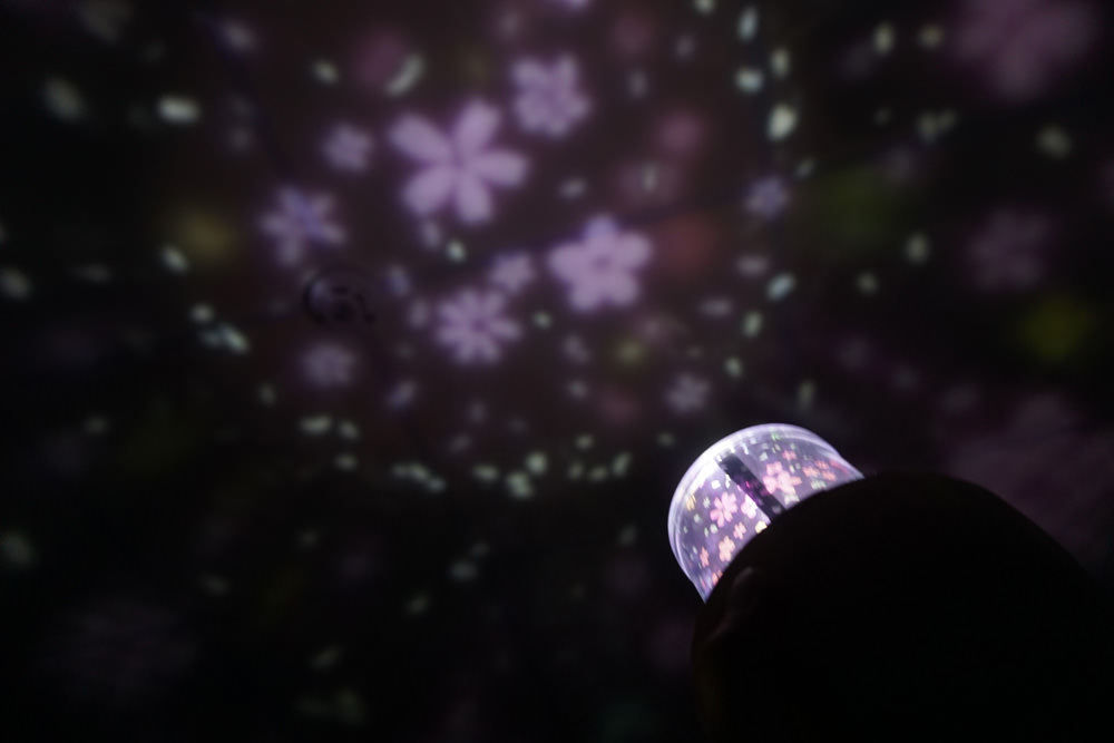 20250207-5b6ub